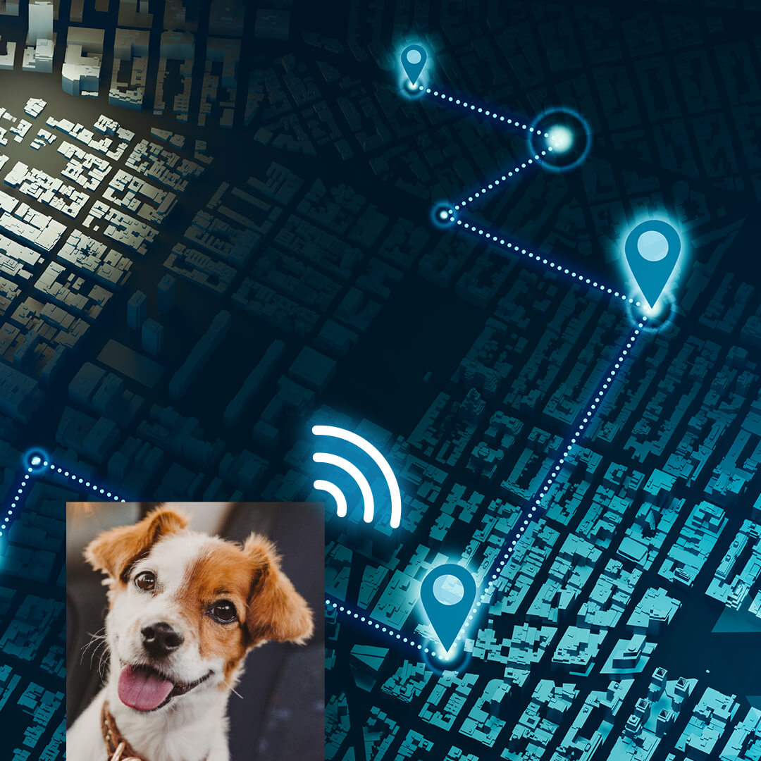 Pet trackers