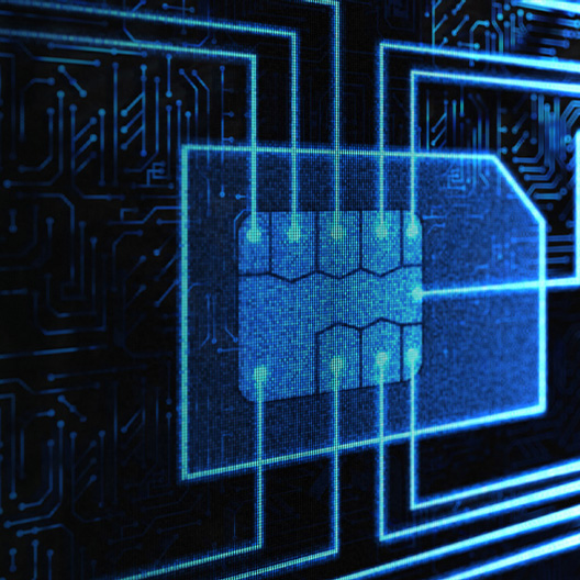 Integrated SIM - iSIM